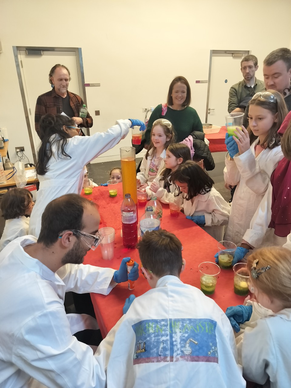 Kitchen Chemistry GSTF2325 1