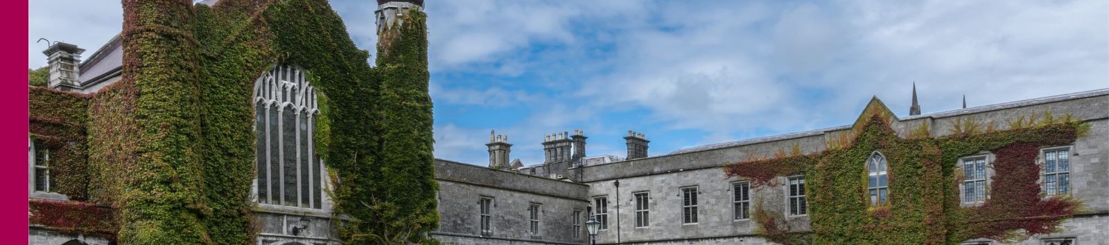 Equality Diversity and Inclusion banner - Study Science and Engineering at University of Galway
