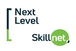 Next Level Skillnet Logo