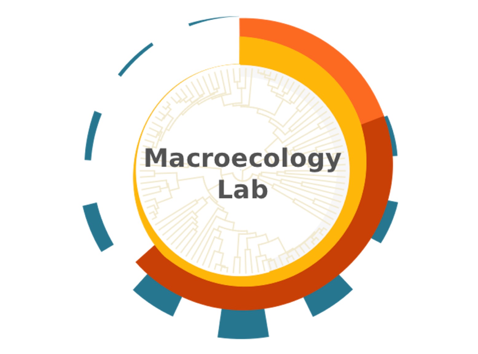 Macroecology